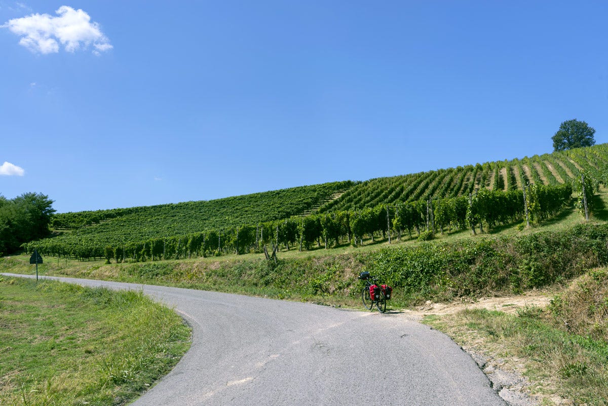 Le colline dell'Oltrepò Pavese sono perfette per essere visitate a due ruote Oltrepò Pavese dove il vino va a braccetto con la bicicletta