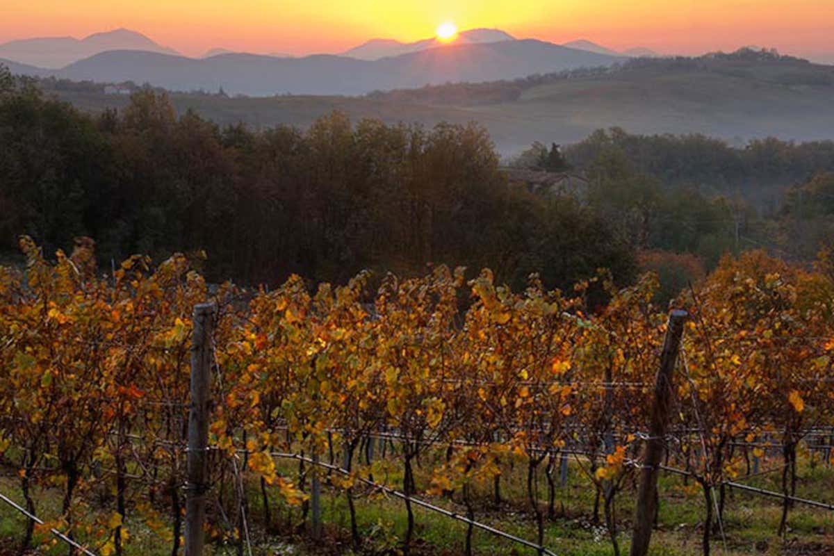 Cadis 1898, scelto il nuovo direttore generale: è Alberto Marchisio il dopo-Raifer Cadis 1898, scelto il nuovo direttore generale: è Alberto Marchisio il dopo-Raifer