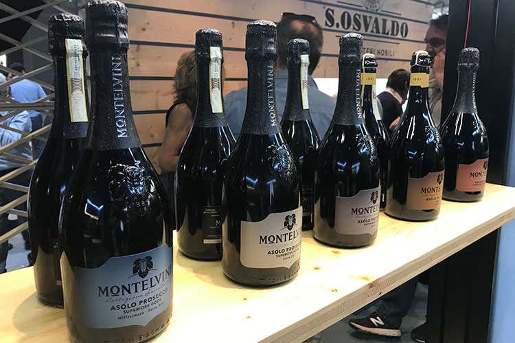 (Il Vigneto Ritrovato di Montelvini e il nuovo protocollo di vinificazione) (Il Vigneto Ritrovato di Montelvini e il nuovo protocollo di vinificazione)
