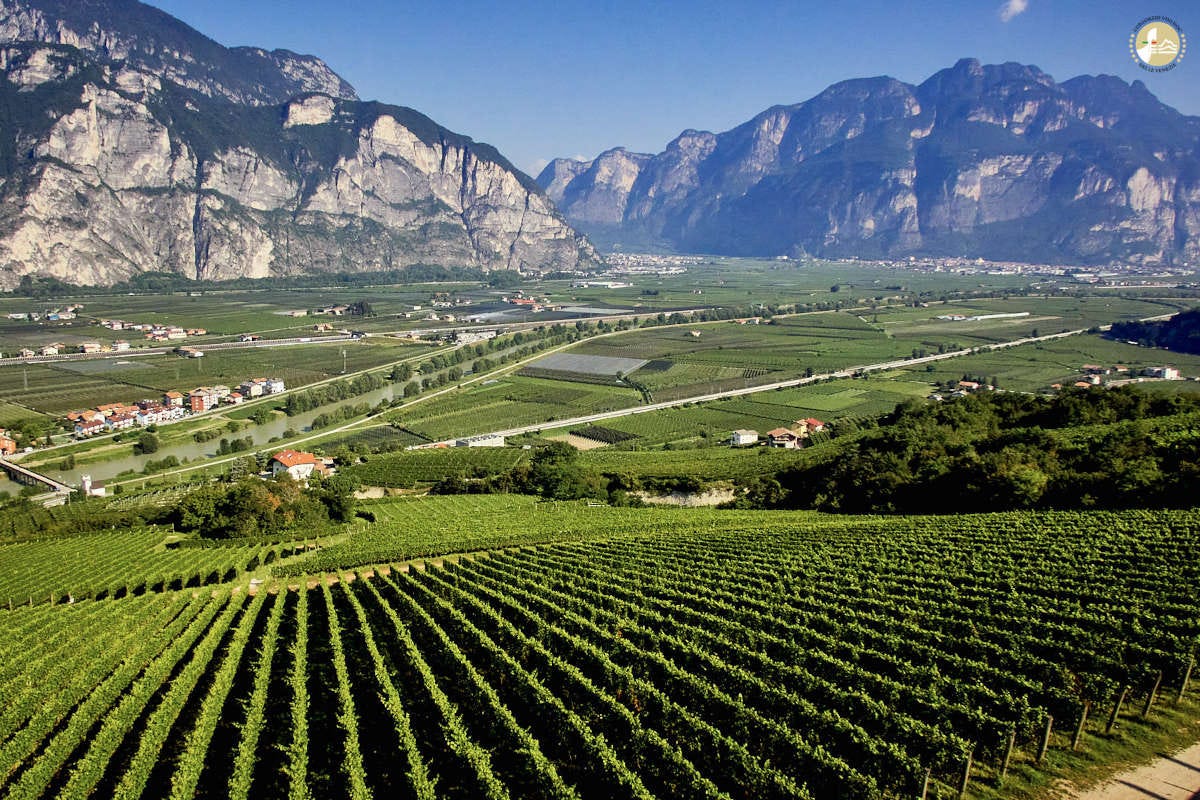 Tre Bicchieri del Trentino, tra piccole realtà e grandi consorzi