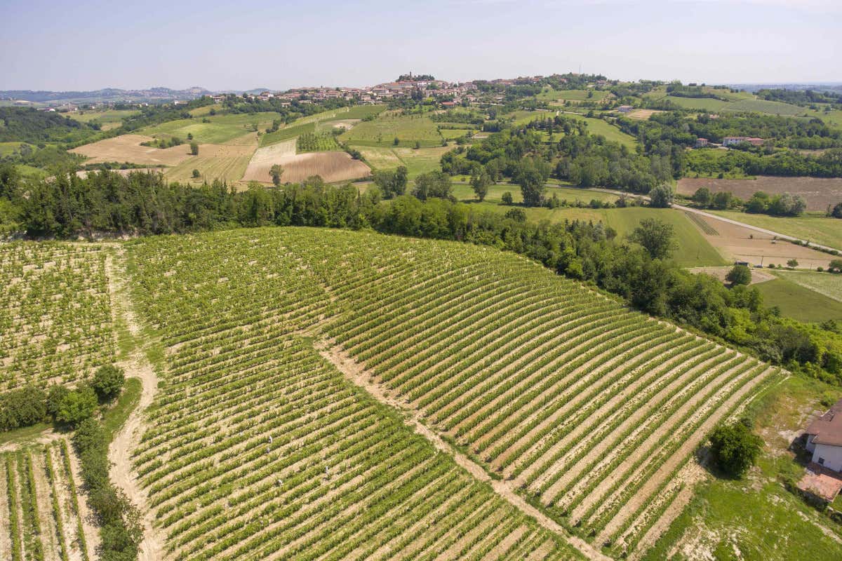 Hic et Nunc: visione e innovazione nel mondo del vino