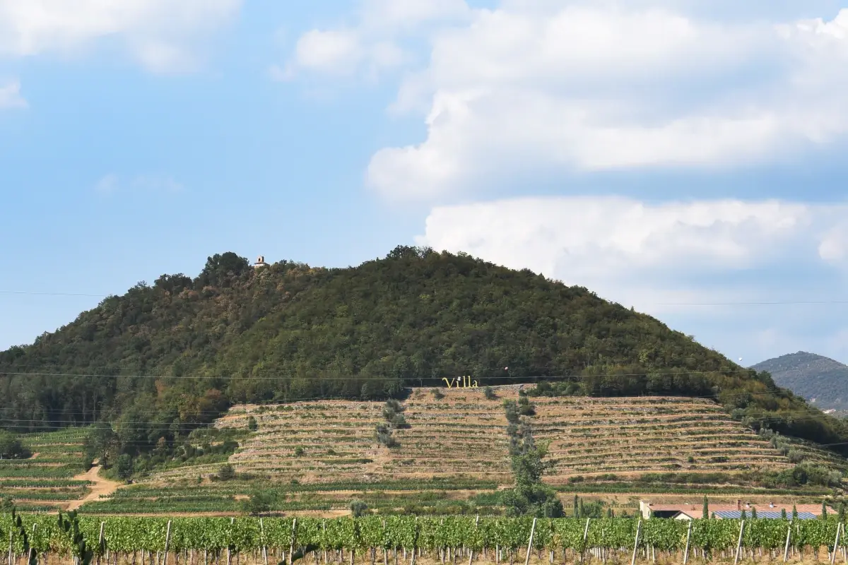 Contro i cambiamenti climatici, la ricetta dei vini di Villa Franciacorta