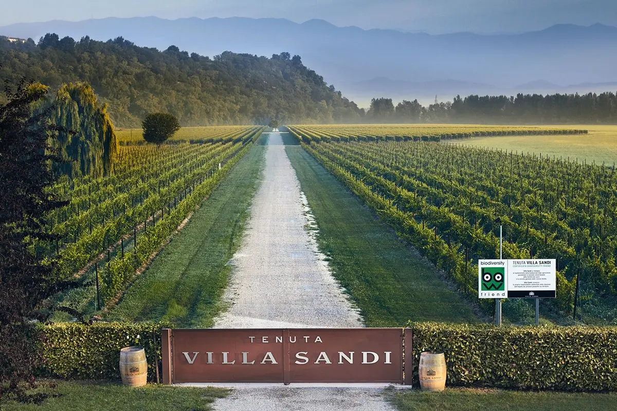 Vini Doc: l&rsquo;esempio di Villa Sandi per brindare al successo