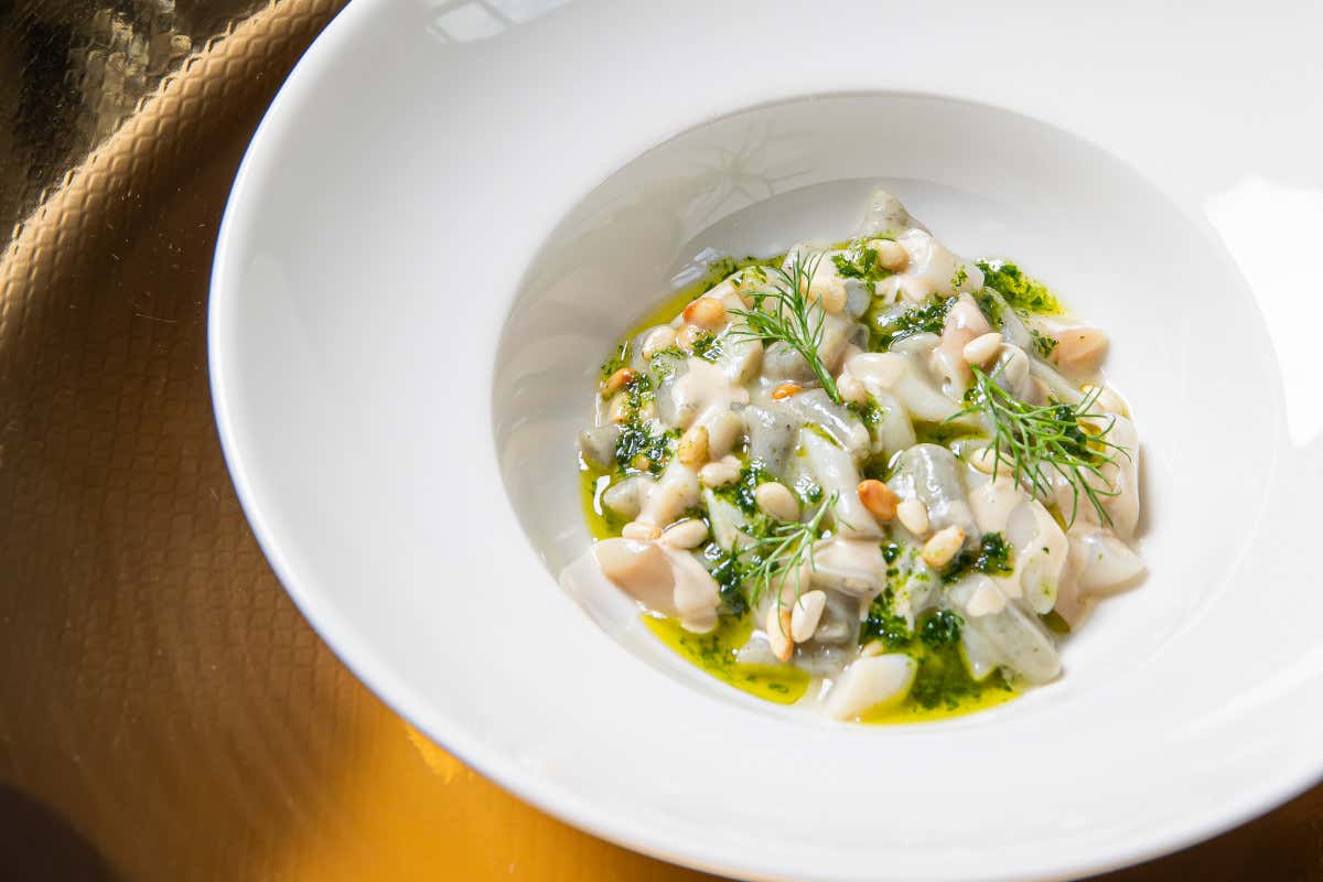 Gnocchi di alghe, cannolicchi e pinoli