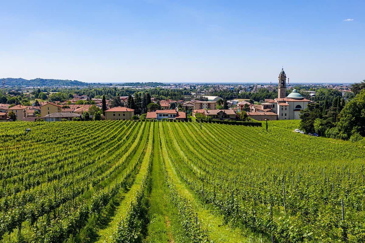 Villa Domizia: storia di una famiglia e di una visione nella Valcalepio