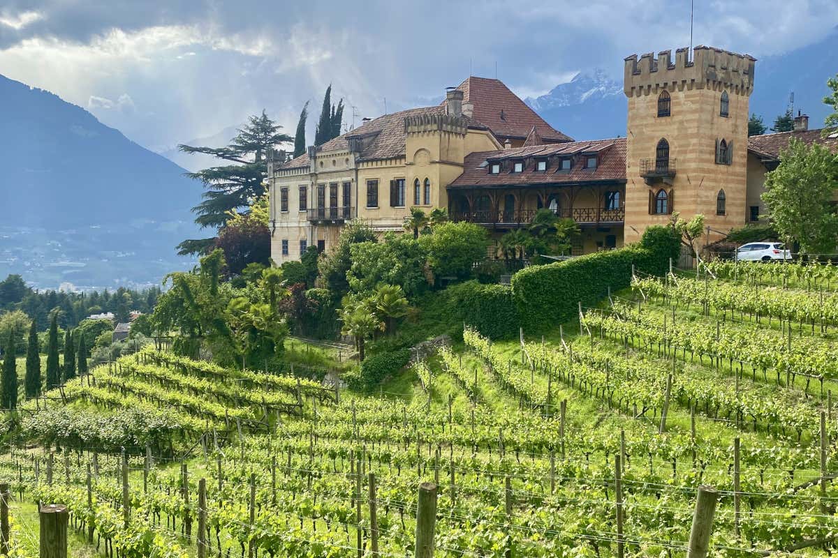 Cucina salutare a Villa Eden: scopri i ristoranti The Tasting Room e Eden’s Park