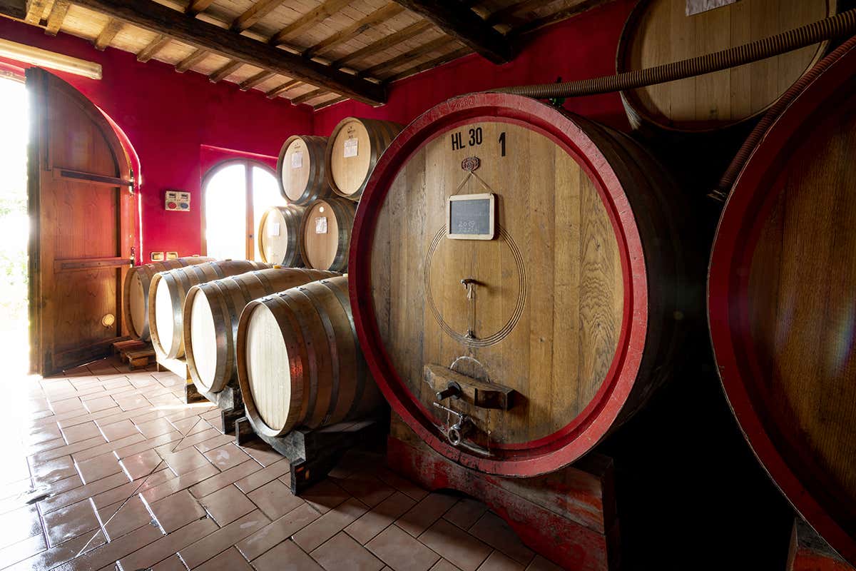 Il tempo e la pazienza del produttore: le botti custodiscono la storia e l’identità di ogni vino
