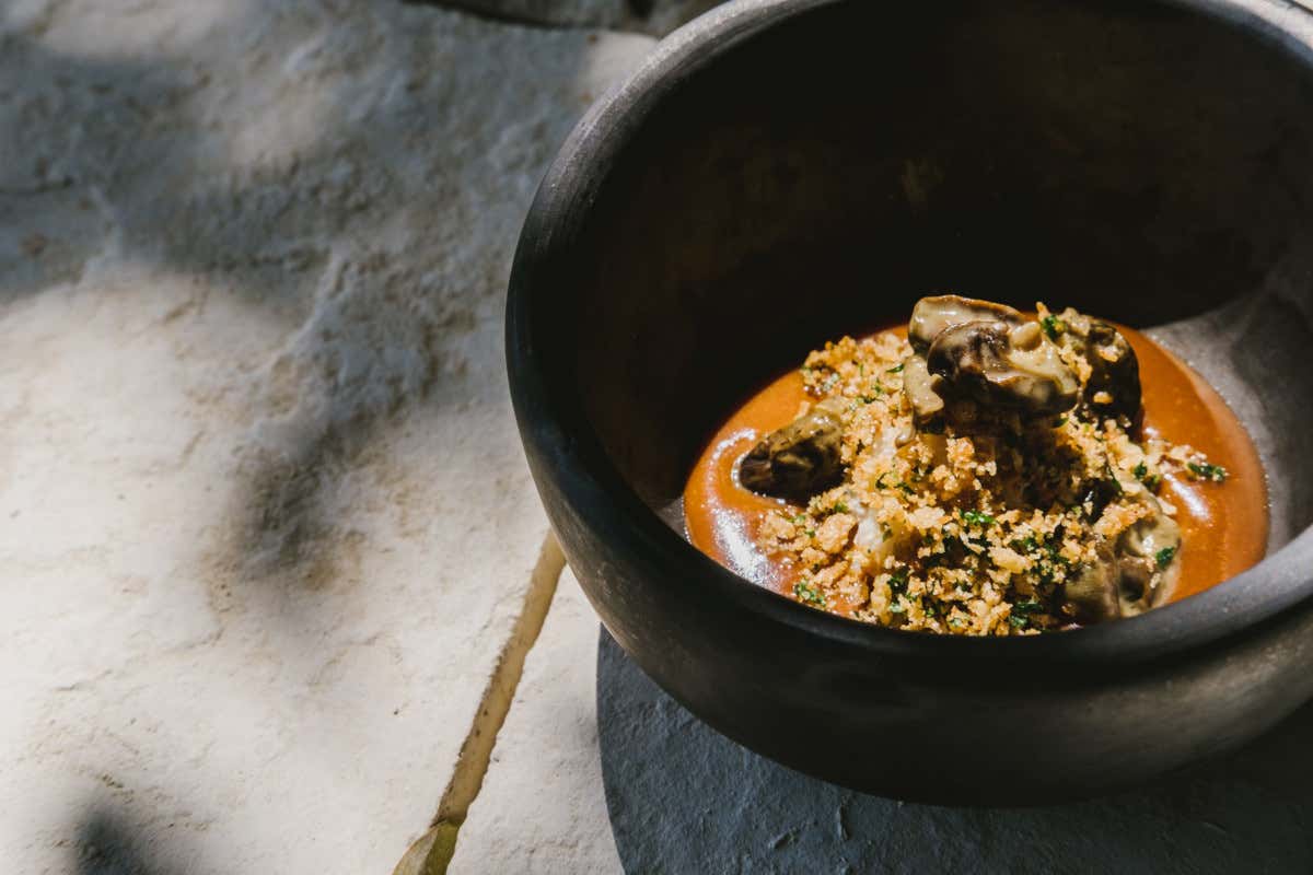 Trippa e Lumaca (foto Victoria Holguin) W Villadorata Country al via la terza stagione con un nuovo menu vegetale