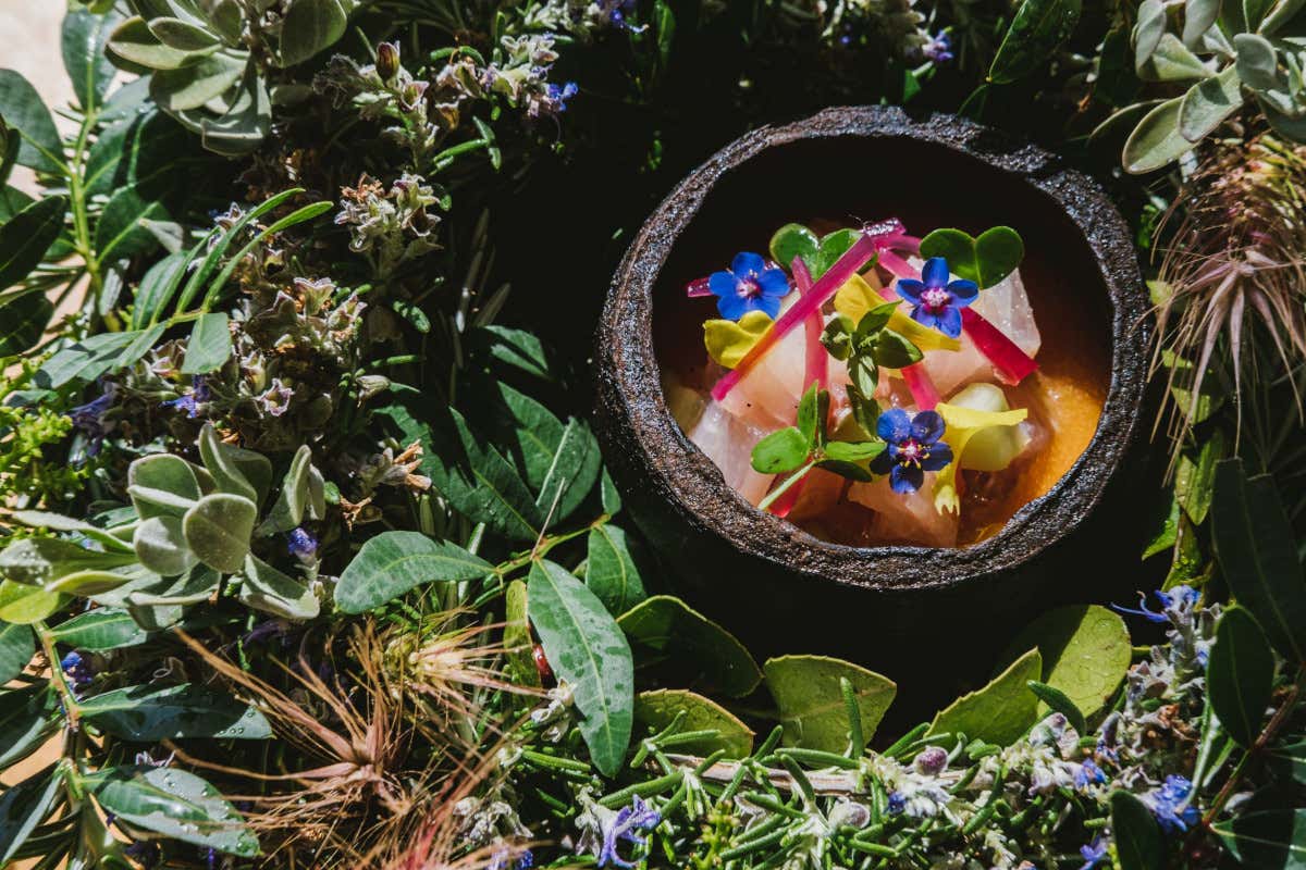 Pompelmo (foto Victoria Holguin) W Villadorata Country al via la terza stagione con un nuovo menu vegetale