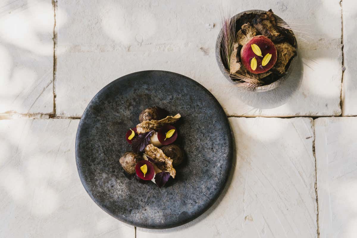 Topinambur e Rapa (foto Victoria Holguin) W Villadorata Country al via la terza stagione con un nuovo menu vegetale