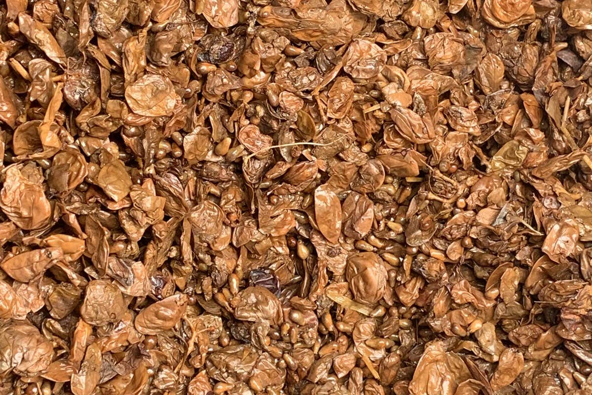 Berta: il nuovo museo multimediale racconta tre generazioni di grappa