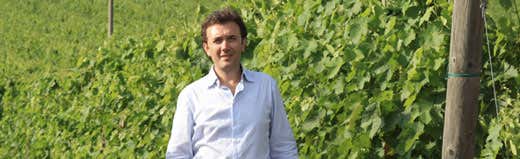 Vincenzo Mercurio