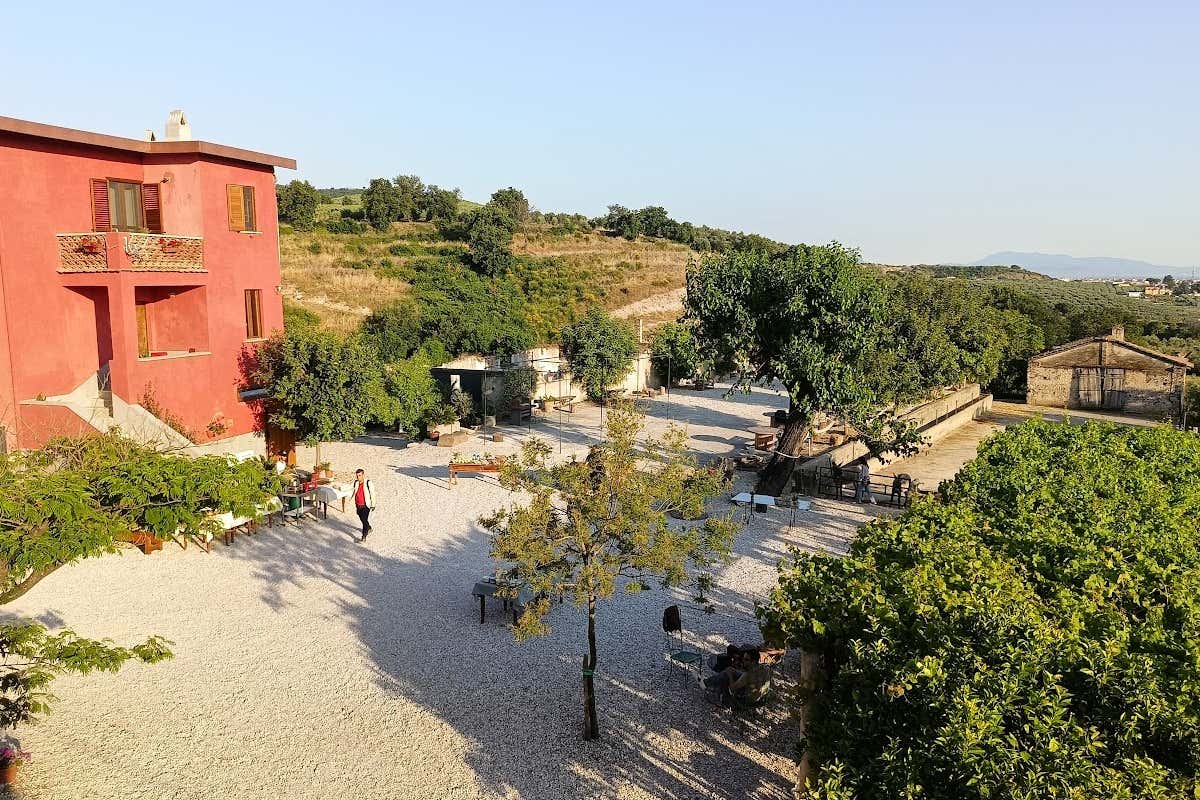Tenuta degli Ulivi: oleoturismo e cucina cilentana nei Monti Picentini