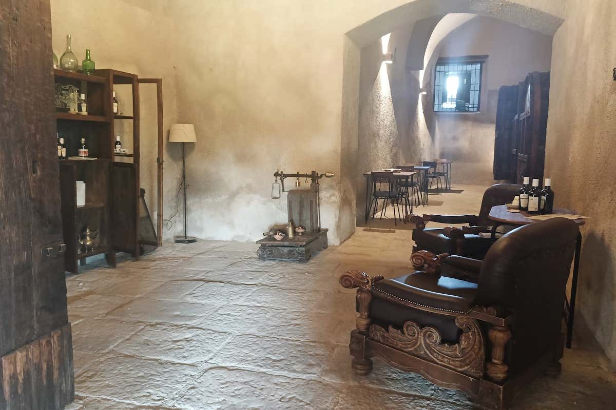 Tenuta degli Ulivi: oleoturismo e cucina cilentana nei Monti Picentini