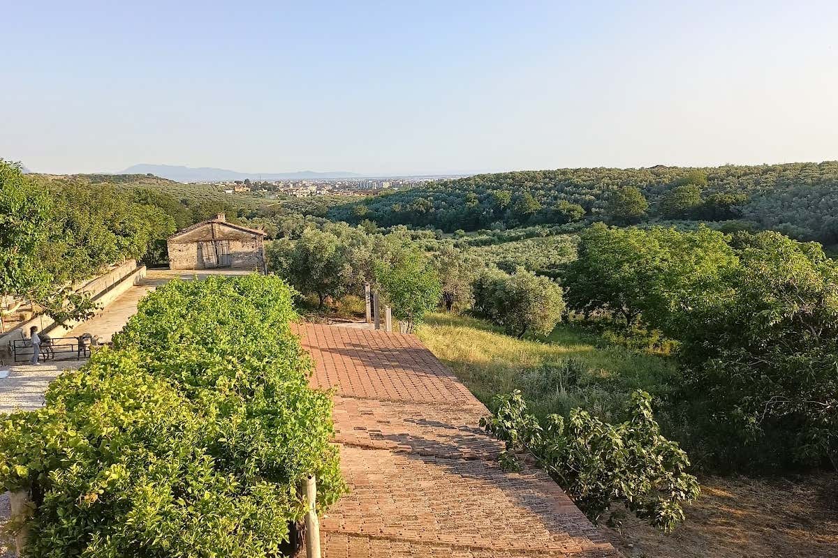Tenuta degli Ulivi: oleoturismo e cucina cilentana nei Monti Picentini