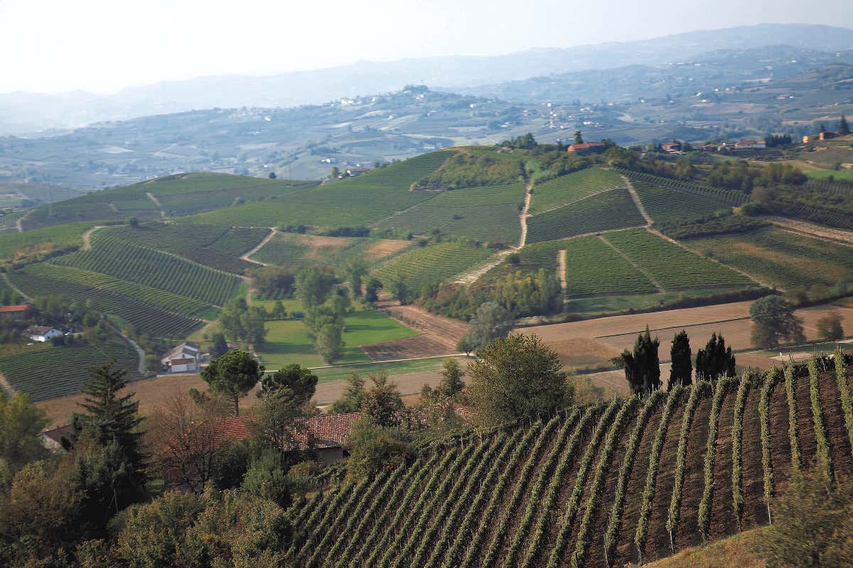 Vinchio Vaglio: storia di una cooperativa che ha rivoluzionato il Monferrato