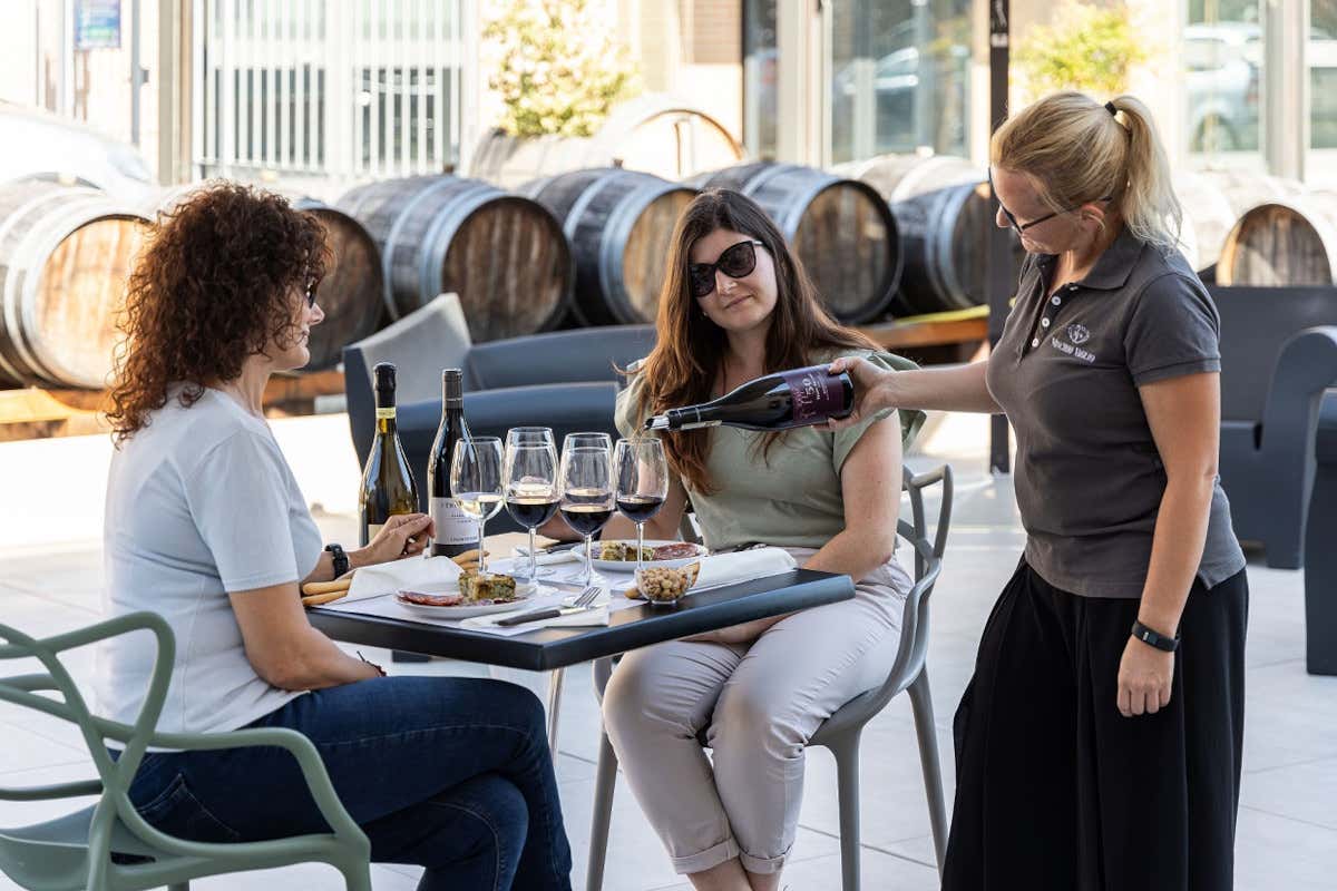 Vinchio Vaglio: storia di una cooperativa che ha rivoluzionato il Monferrato