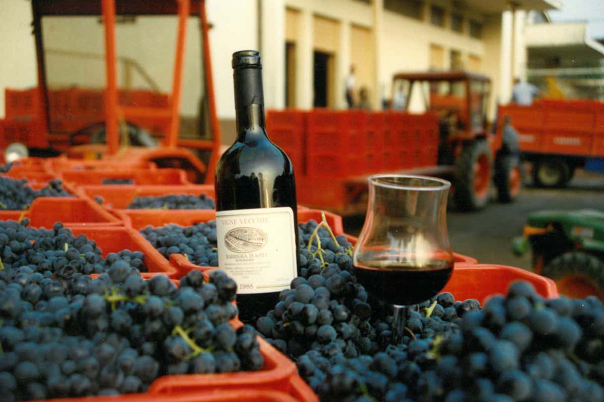 La cantina Cooperativa Vinchio Vaglio A Milano Vinchio Vaglio e Onav insieme per celebrare il Barbera d'Asti