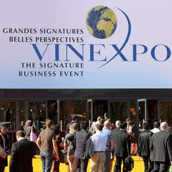 foto Vinexpo