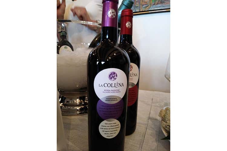 (I vini di Bergamo en primeur Fare squadra per il bene del territorio)