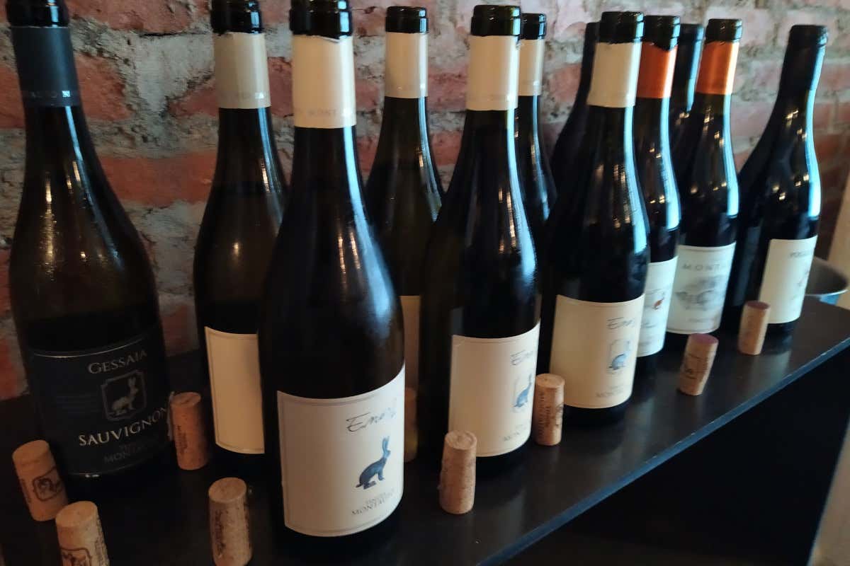 I vini Montauto presentati a Milano Fare vino bianco in Toscana? La sfida vinta di Tenuta Montauto I vini Montauto presentati a Milano Fare vino bianco in Toscana? La sfida vinta di Tenuta Montauto