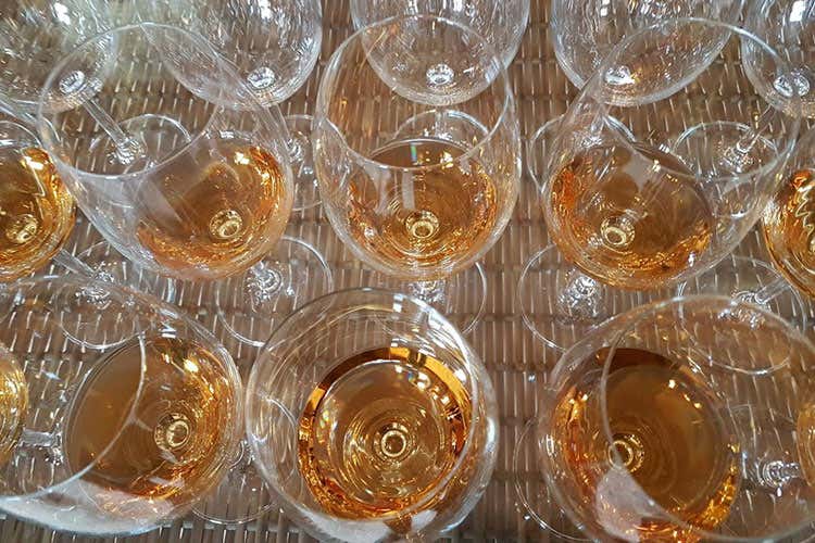 I vini bianchi macerati provengono dalla macerazione di almeno un mese di sole uve bianche - Vini bianchi macerati regolarizzati Ma sulla produzione c'è da lavorare I vini bianchi macerati provengono dalla macerazione di almeno un mese di sole uve bianche - Vini bianchi macerati regolarizzati Ma sulla produzione c'è da lavorare