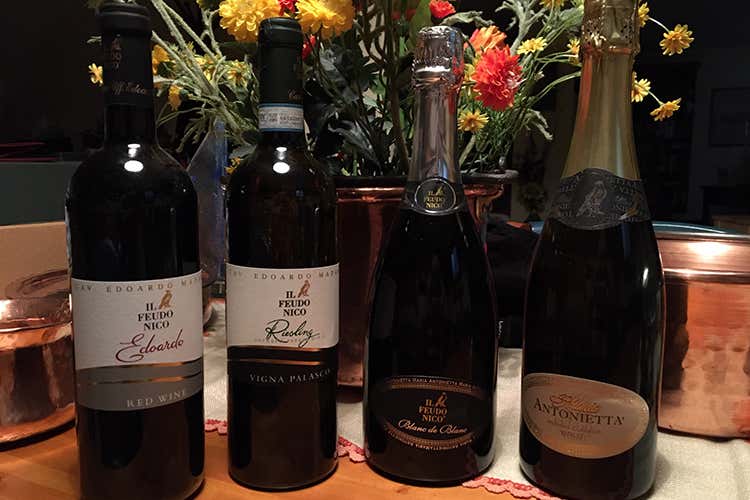 I vini degustati - Feudo Nico, nuovo Pinot Grigio e olio evo per superare la crisi