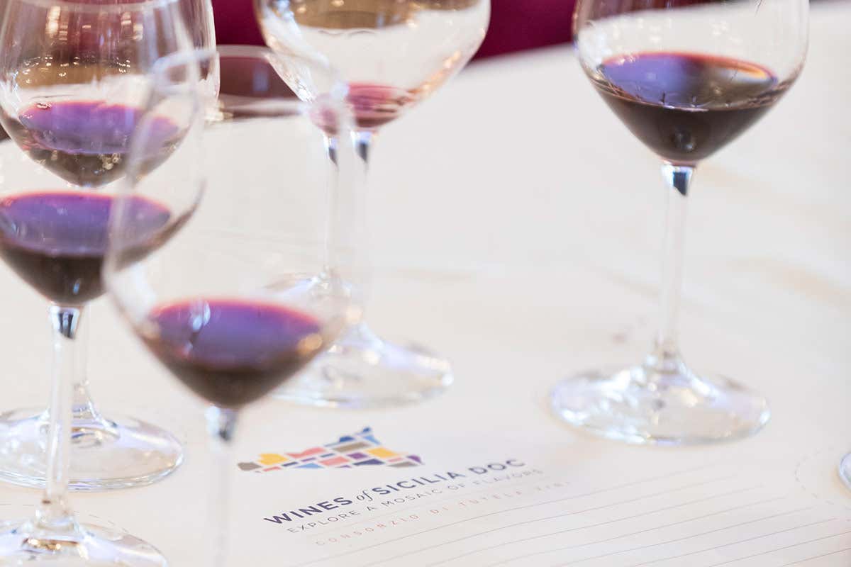 Degustazione Nero d&rsquo;Avola, vini con profili diversi in base all&rsquo;area di coltivazione