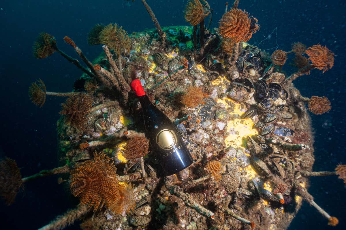 Il vino dell'Etna affiner&agrave; nei fondali di un'area marina protetta