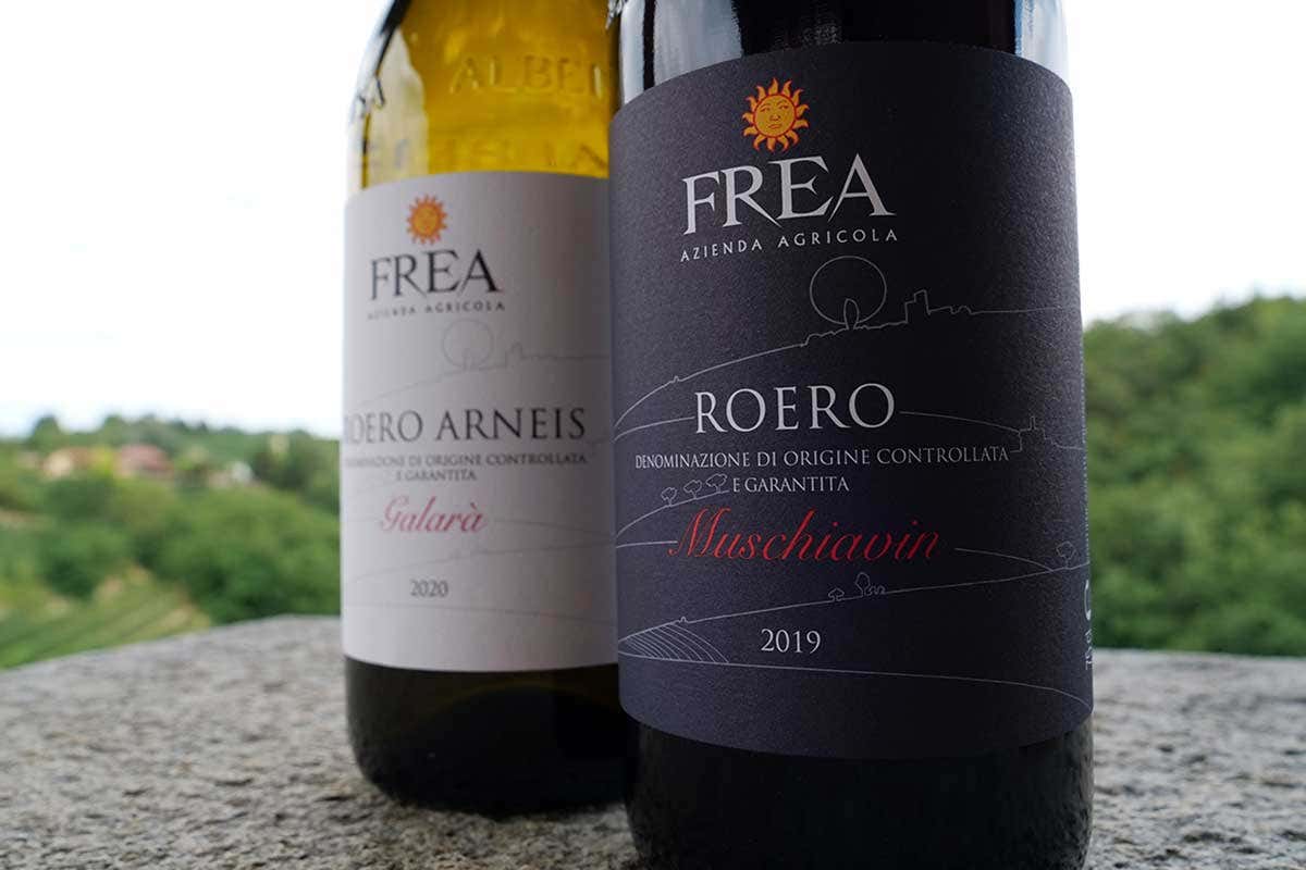I vini dell'Azienda agricola Frea Quattro produttori e un ponte, nel Roero degustazioni sotto le stelle