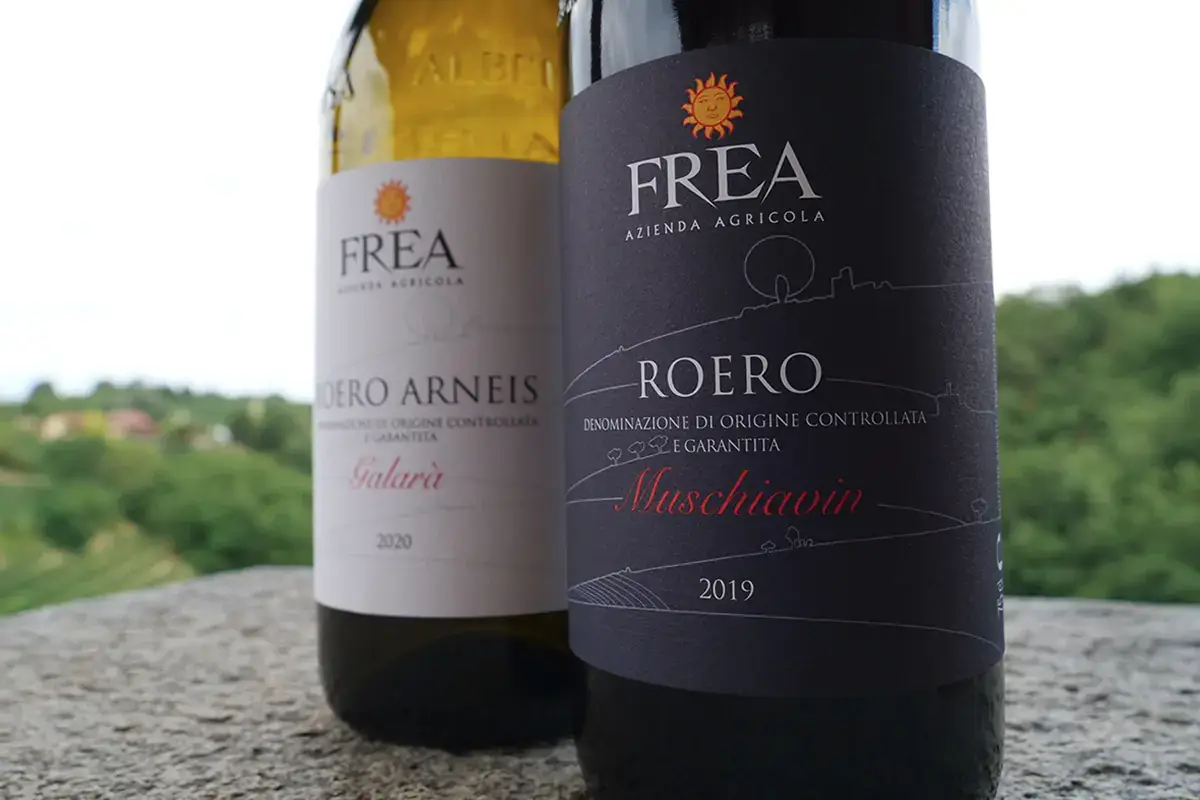 I vini dell'Azienda agricola Frea Quattro produttori e un ponte, nel Roero degustazioni sotto le stelle