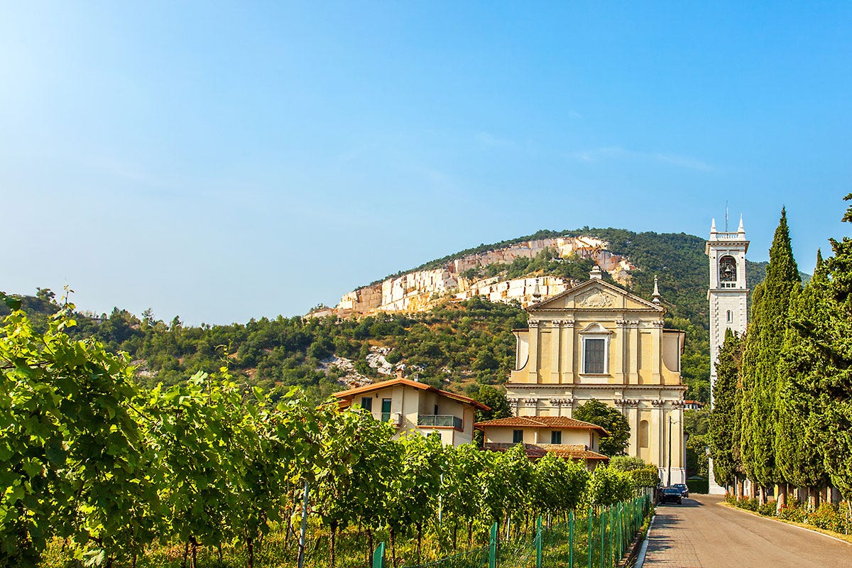 Nel 2020 il vino lombardo ha segnato un +20% Lombardia, troppo vino invenduto Dalla Regione un piano di aiuti