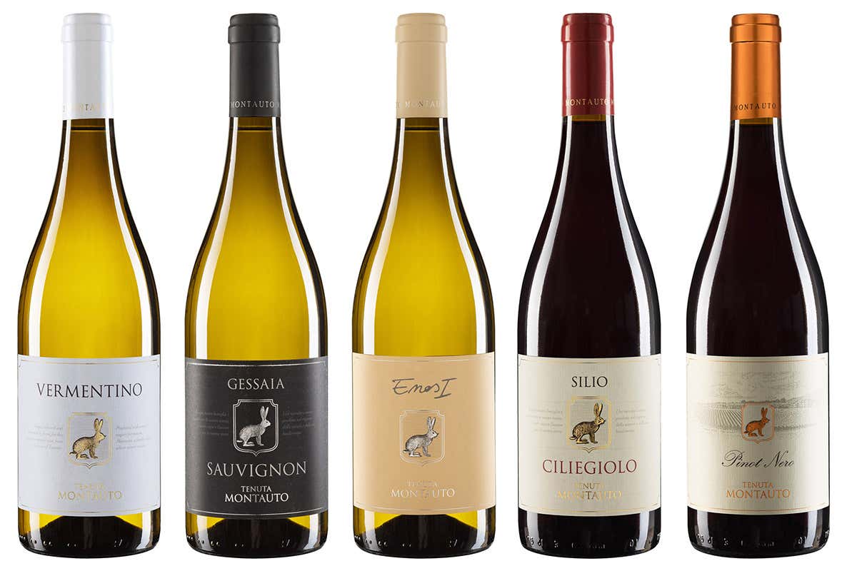 I vini degustati Tenuta di Montauto, una famiglia a servizio del territorio I vini degustati Tenuta di Montauto, una famiglia a servizio del territorio