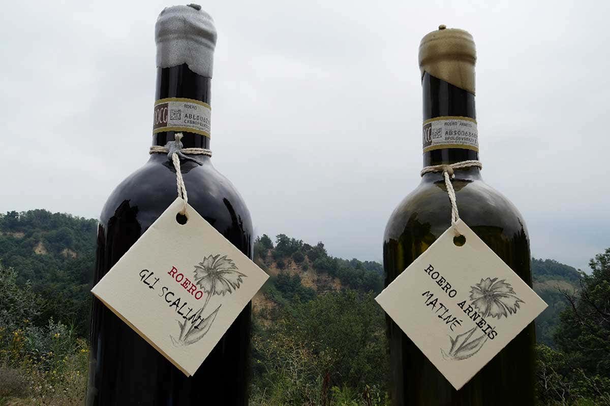 I vini dell'Azienda agricola Musso Quattro produttori e un ponte, nel Roero degustazioni sotto le stelle
