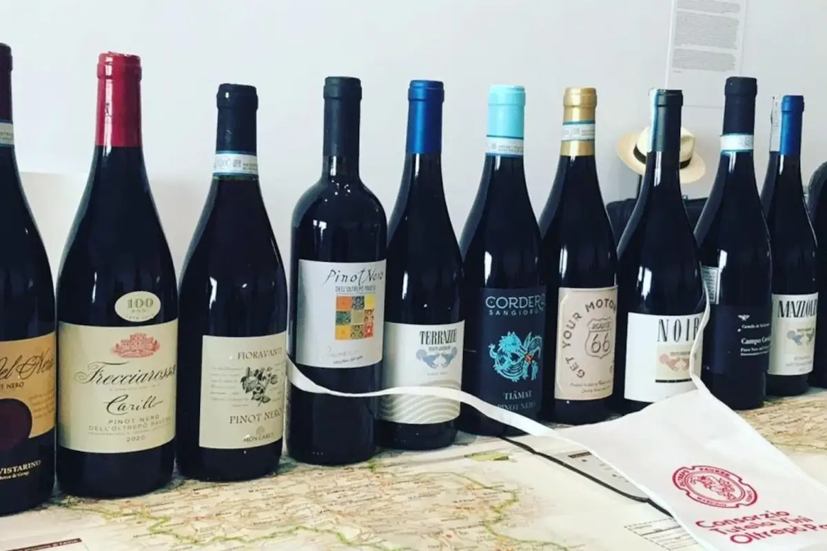 I vini dell'Oltrep&ograve; Pavese alla conquista degli Usa con Slow wine food I vini dell&rsquo;Oltrep&ograve; Pavese conquistano gli Usa