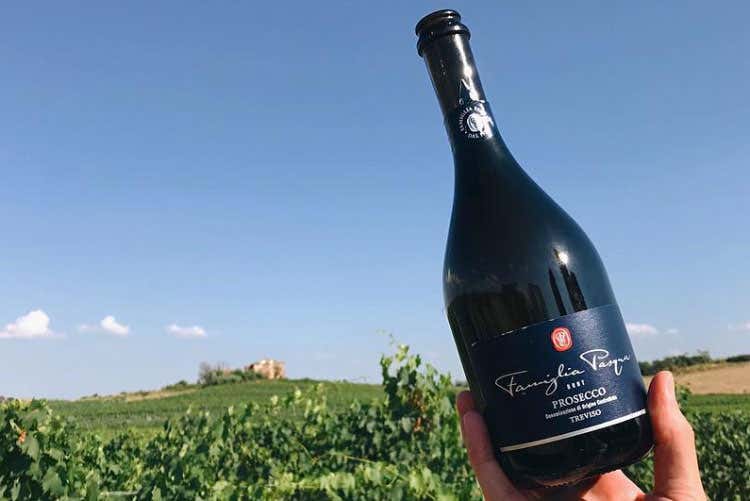 (I migliori vini Pasqua in vetrina a Milano) (I migliori vini Pasqua in vetrina a Milano)