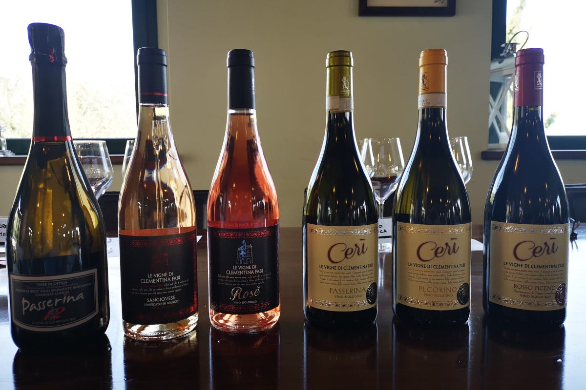 I vini serviti e presentati alla degustazione Sfumature di rosa per scoprire i vitigni autoctoni delle Marche