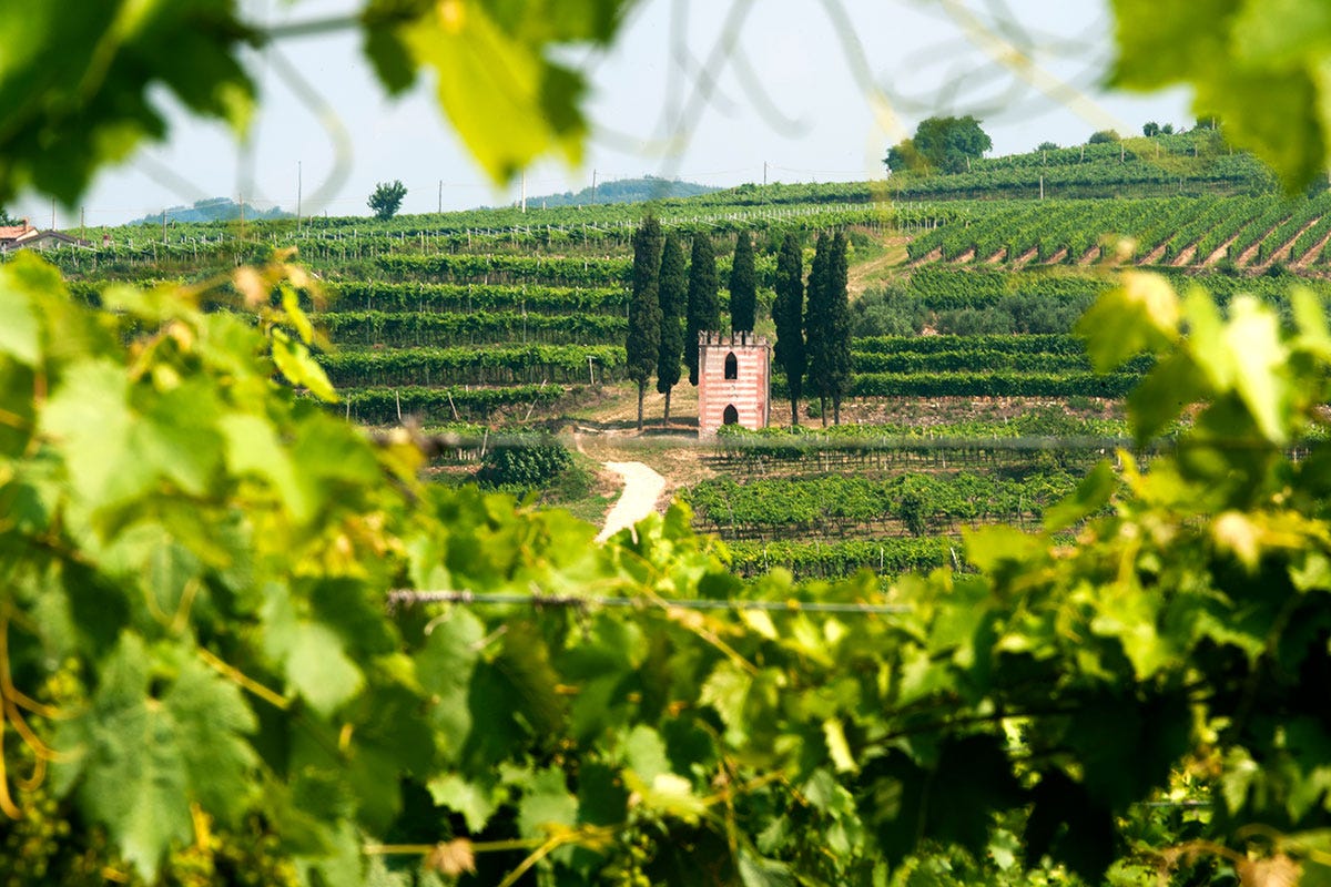Lessinia Verona e dintorni, terre di grandi vini rossi e ricca biodiversità