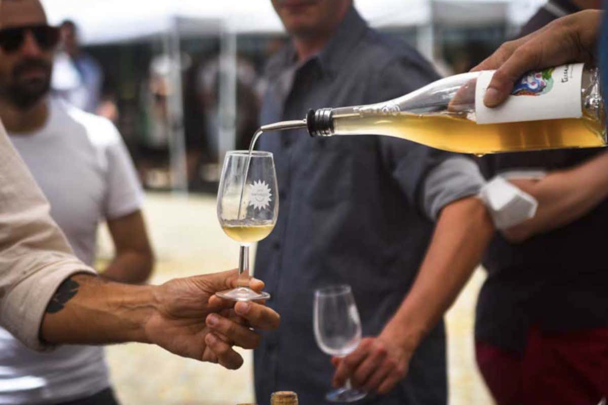 Vini Selvaggi, tutto pronto a Roma per la seconda edizione della fiera