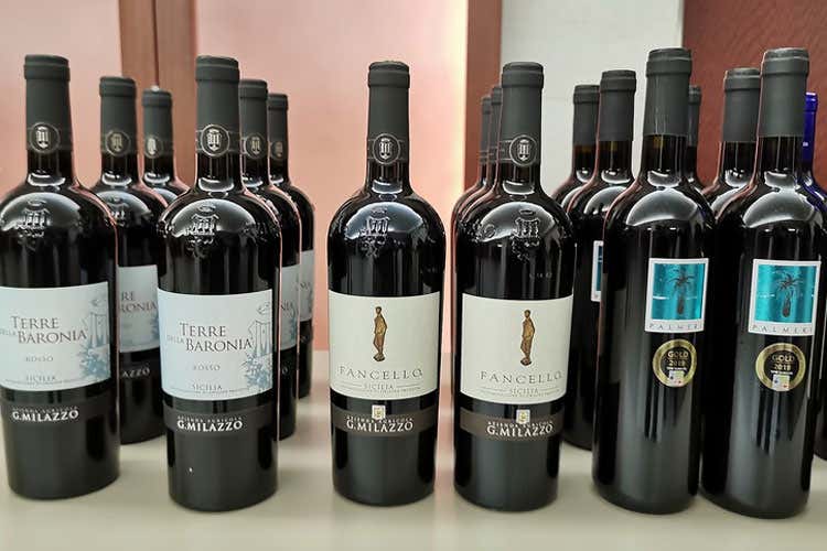 I vini di Milazzo, l'azienda pi&ugrave; premiata al Concours (In passerella i vini siciliani premiati al Concours Mondial)