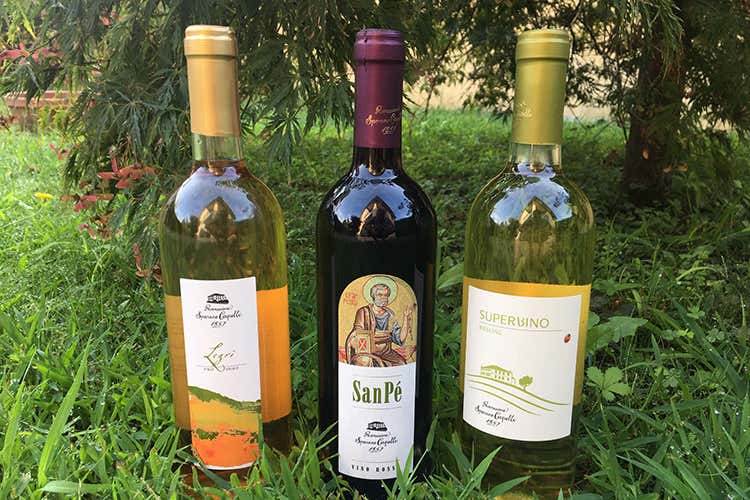 Tre etichette della cantina - Possessione Sparano Capelli Vino green da oltre un secolo