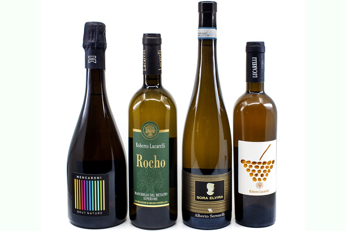 I quattro vini degustati Dalla vigna alla tavola riscopre la minestra ATTESA