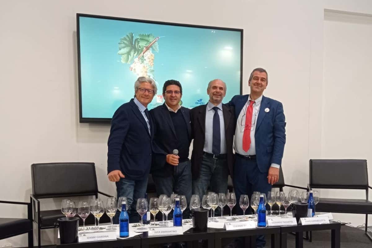 La Sicilia è la prima regione italiana per produzione di vini biologici La Sicilia è la prima regione italiana per produzione di vini biologici