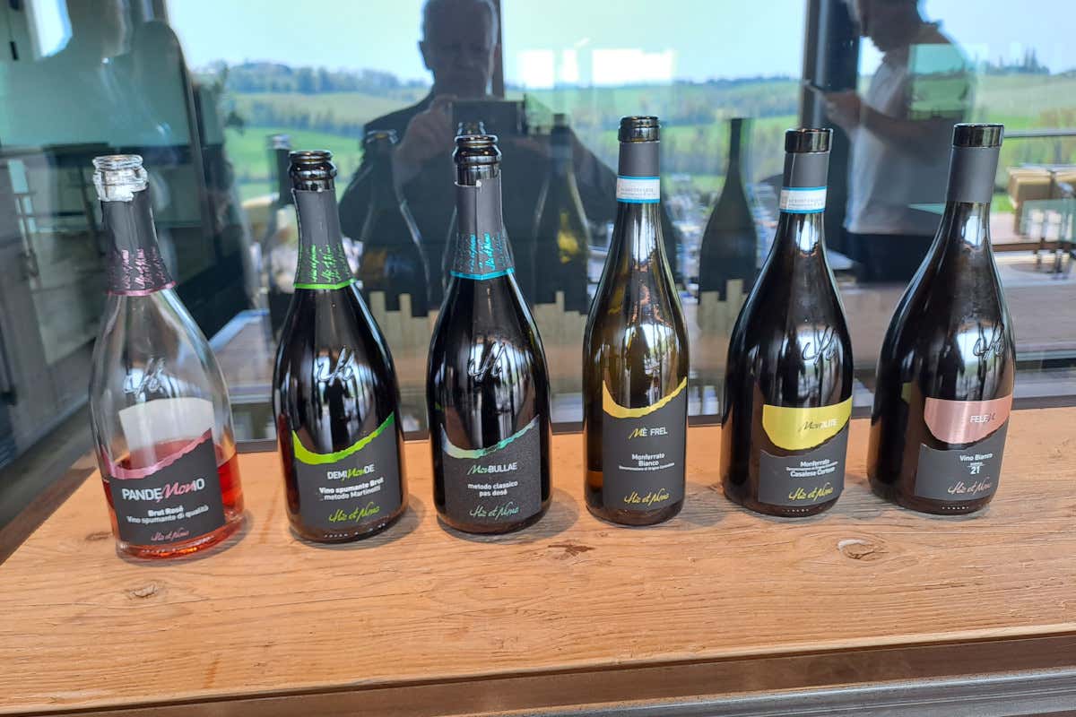 Hic et Nunc: visione e innovazione nel mondo del vino