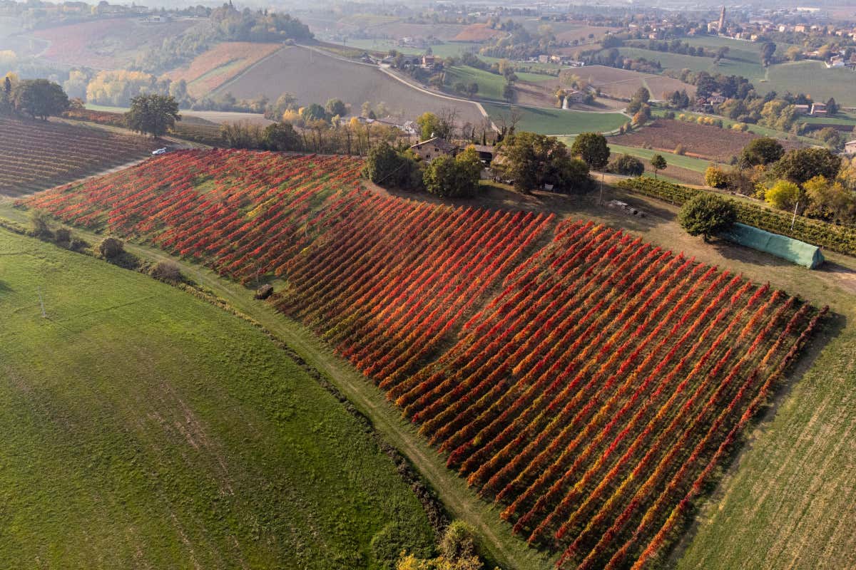 I colli di Castelvetro di Modena