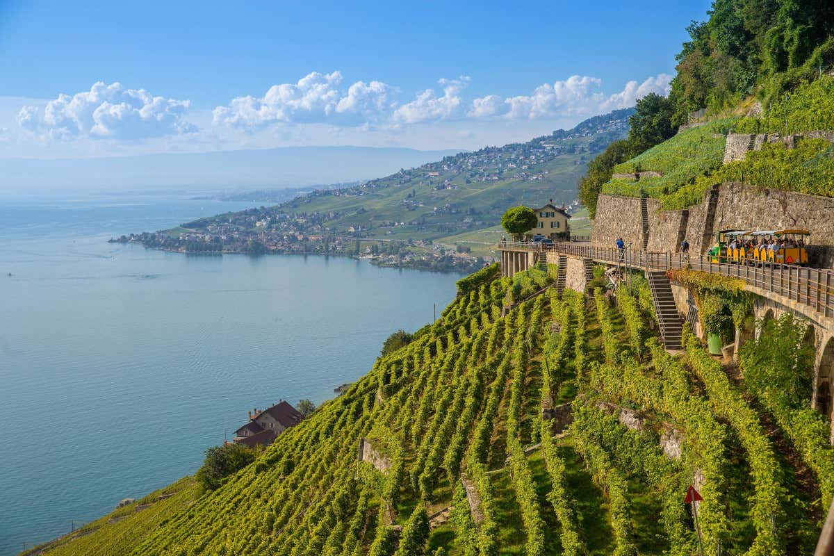 Vins Extrêmes 2025, il coraggio della viticoltura eroica torna al Forte di Bard Vins Extrêmes 2025, il coraggio della viticoltura eroica torna al Forte di Bard