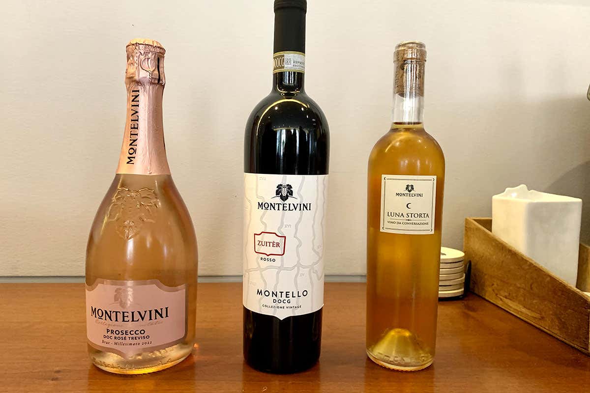 Con Daniel Canzian “La giornata del panettone” diventa un'esperienza