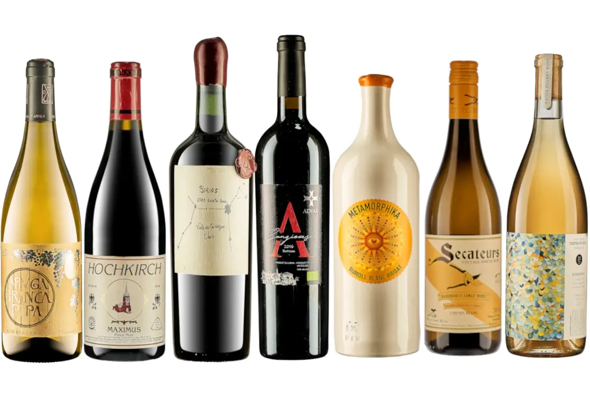 Elemento Indigeno: il vino come patrimonio antropologico