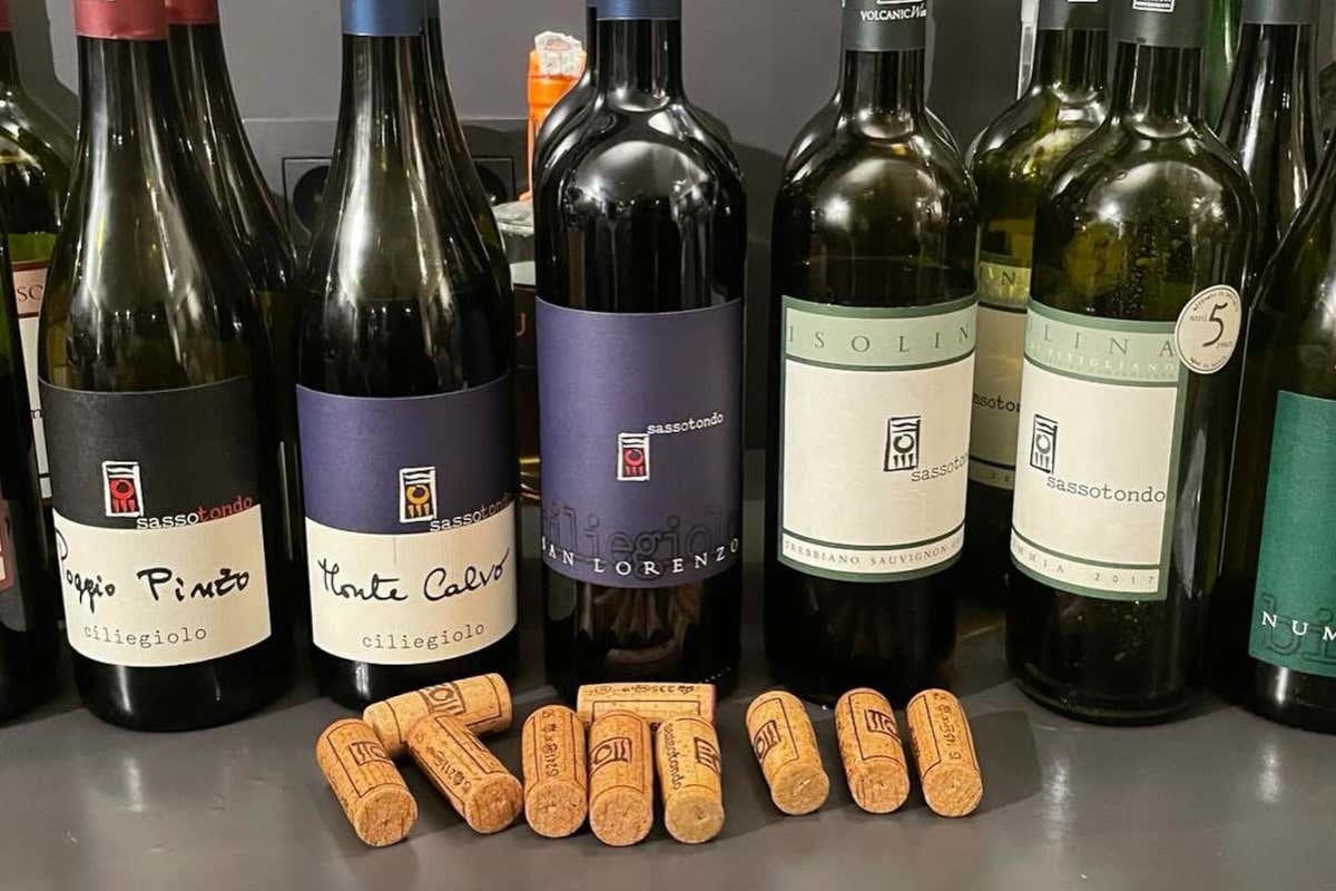 Sassotondo: un progetto no profit per la valorizzazione dei vitigni autoctoni