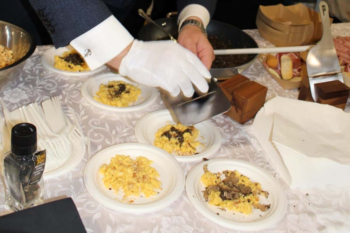 “Vini da tartufo 2024”: i 25 vini marchigiani premiati da Ais Marche